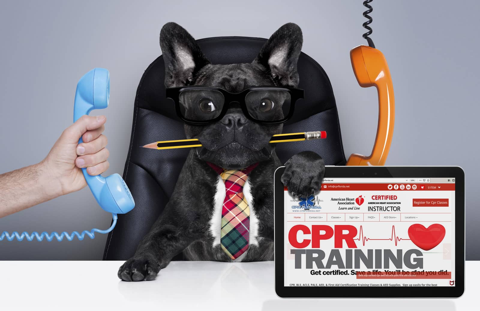 dog cpr